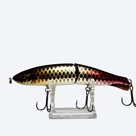 Jackall Sride 125 Black Pirarucu