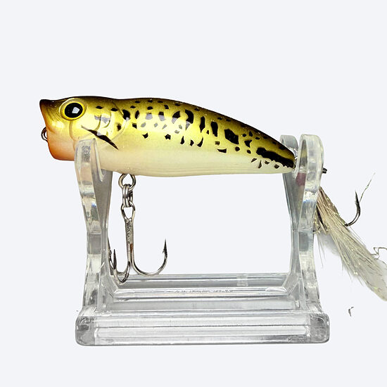 Evergreen Combat Popper Bambino Baby Bass
