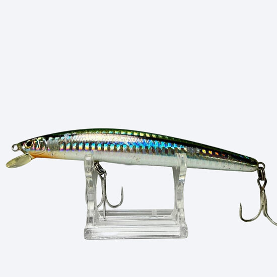 Daiwa Shoreline Shiner R50