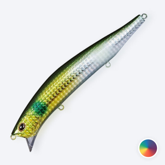 Daiwa Morethan Crosswake 111F-SSR