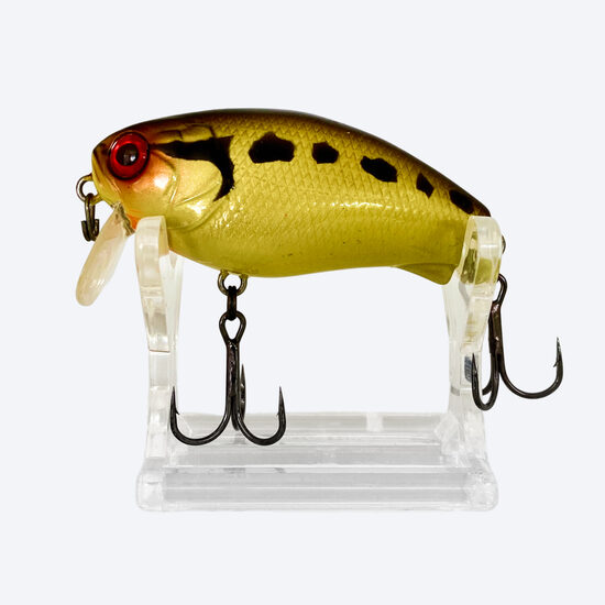 Jackall Cherry Zero Footer 56 Gold daruma
